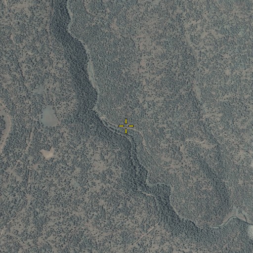 Aerial/Satellite Image of Charvoidles Spring, AZ