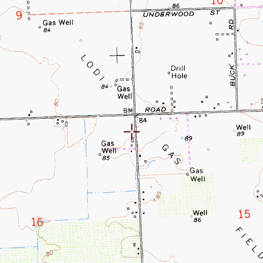 Topographic Map of Lodi Gas Field, CA