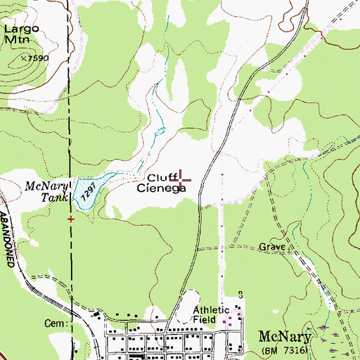 Topographic Map of Cluff Cienega, AZ