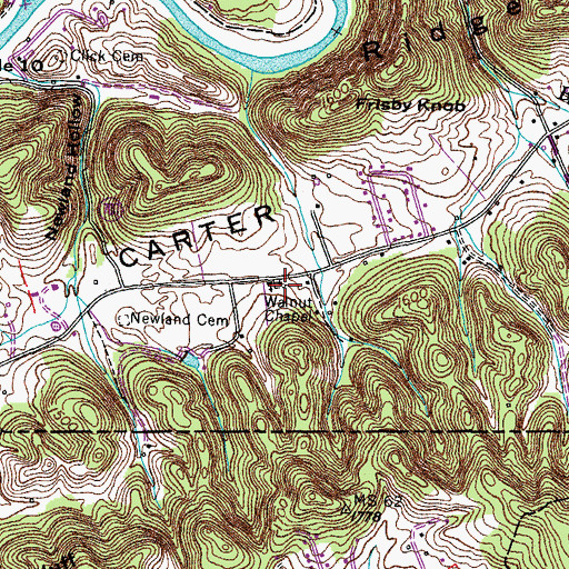 Topographic Map of Walnut Chapel Cemetery, VA