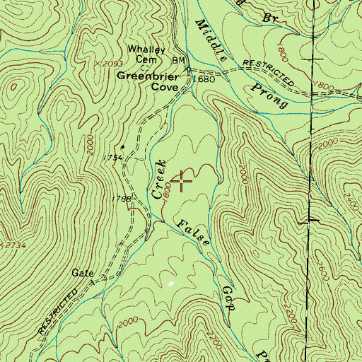 Topographic Map of Whaley - Plemmons Cemetery, TN