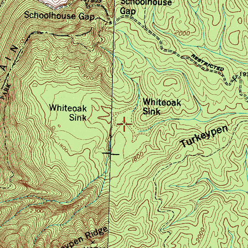 Topographic Map of White Oaks Sinks Cemetery, TN