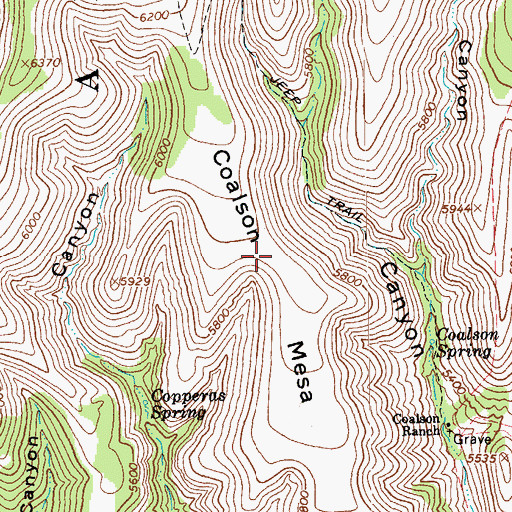 Topographic Map of Coalson Mesa, AZ