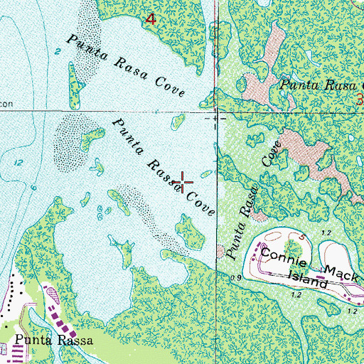 Topographic Map of Punta Rassa Cove, FL