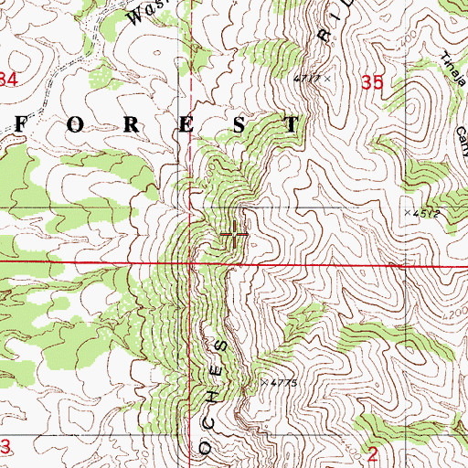 Topographic Map of Coches Ridge, AZ
