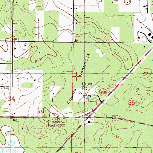Topographic Map of Adams Hammock, FL