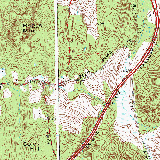 Topographic Map of Ferris Cemetery, NY