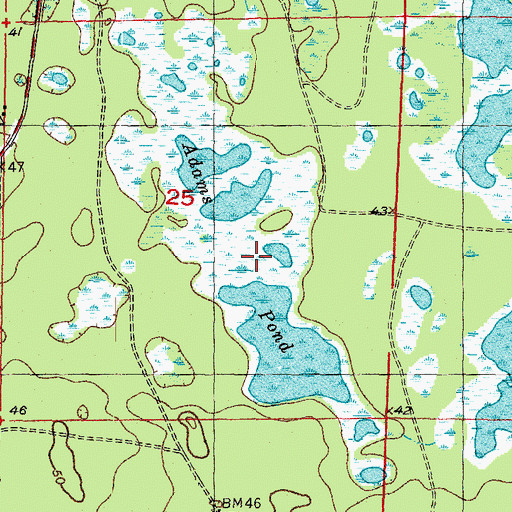 Topographic Map of Adams Pond, FL