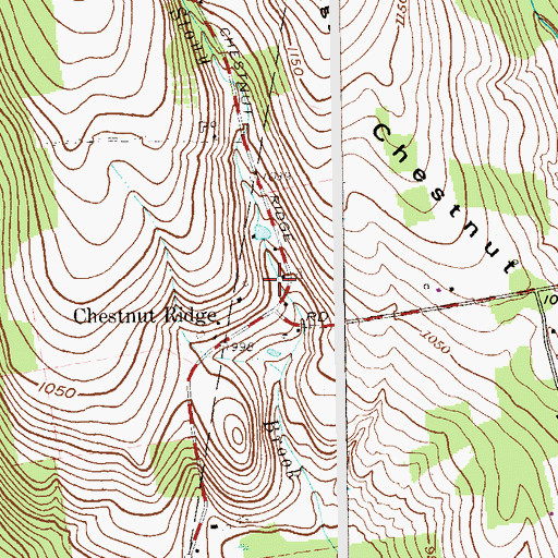 Topographic Map of Chestnut Ridge Friends Cemetery, NY