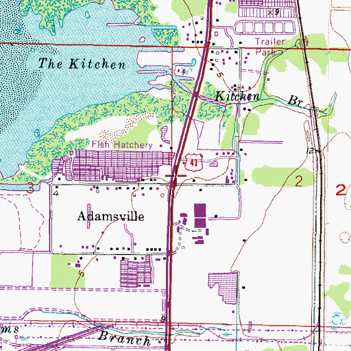 Topographic Map of Adamsville, FL