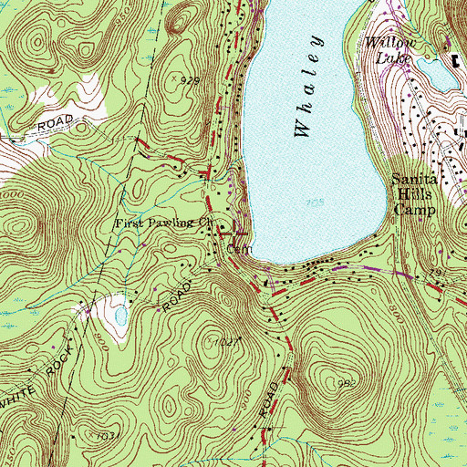 Topographic Map of Whaley Lake Baptist Cemetery, NY