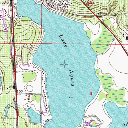 Topographic Map of Lake Agnes, FL