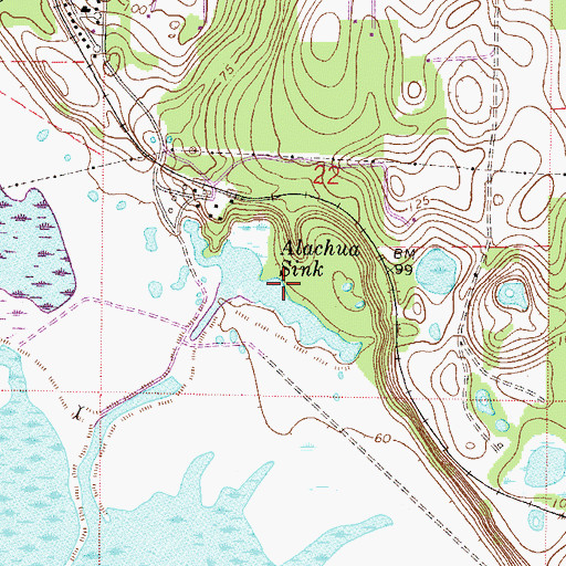 Topographic Map of Alachua Sink, FL