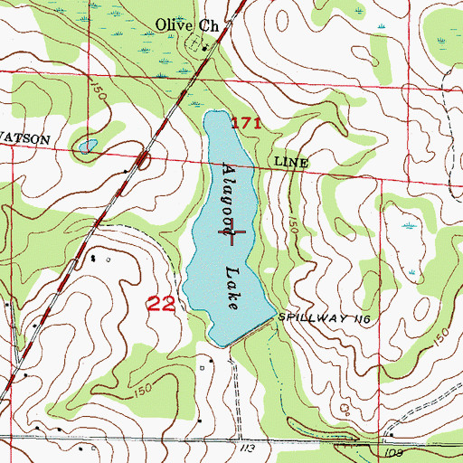 Topographic Map of Alagood Lake, FL