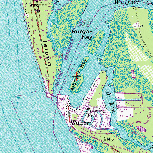 Topographic Map of Albright Key, FL