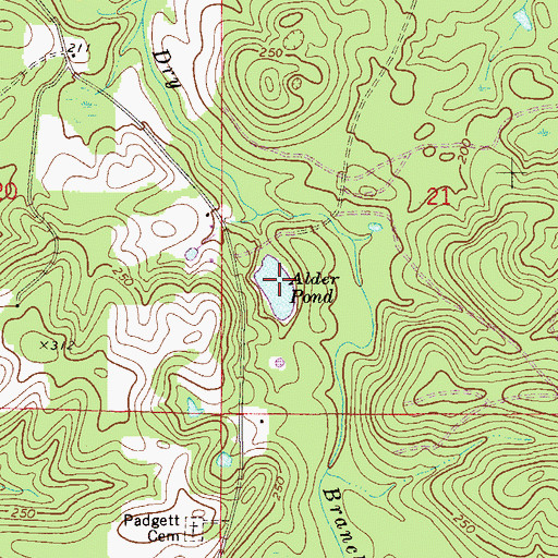 Topographic Map of Alder Pond, FL