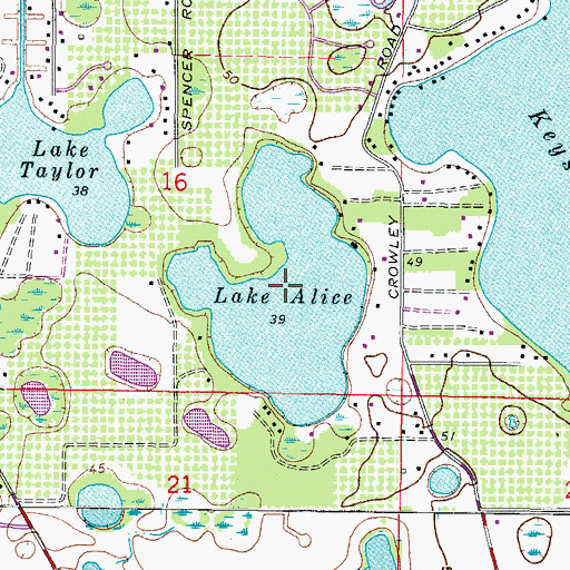 Topographic Map of Lake Alice, FL