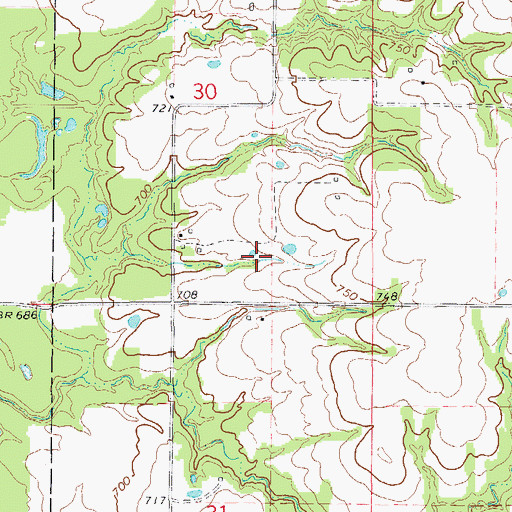 Topographic Map of Snell Cemetery, MO