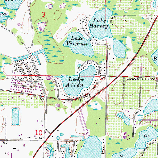 Topographic Map of Lake Allen, FL