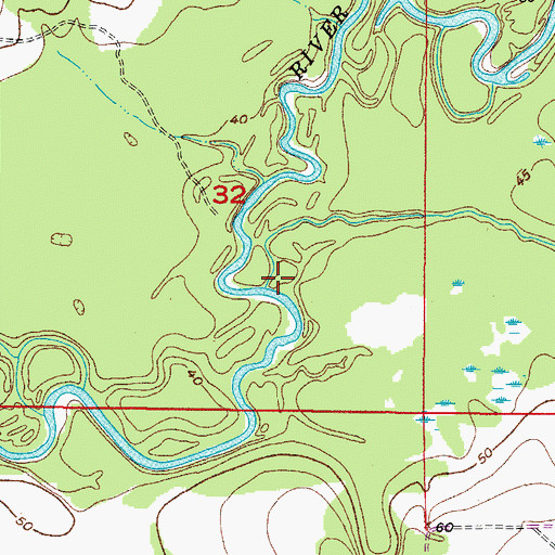 Topographic Map of Alligator Branch, FL