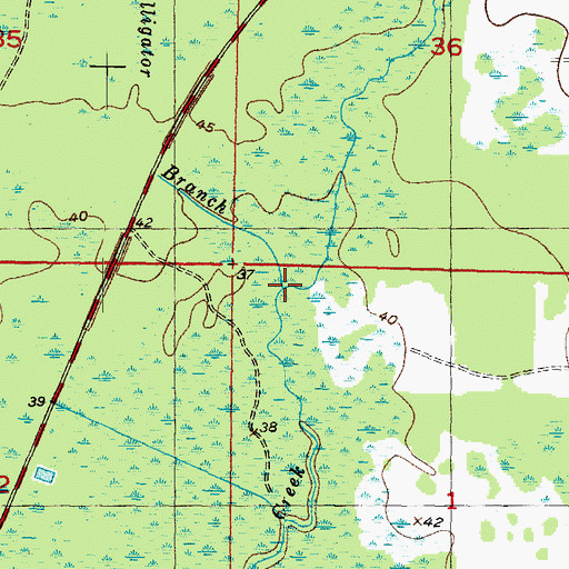 Topographic Map of Alligator Branch, FL