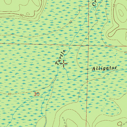 Topographic Map of Alligator Creek, FL
