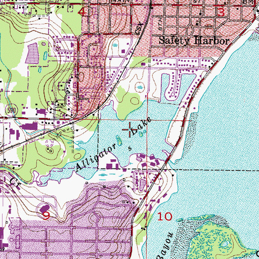 Topographic Map of Alligator Lake, FL
