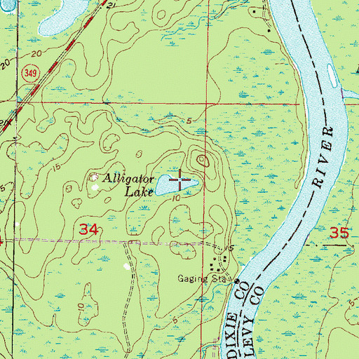 Topographic Map of Alligator Lake, FL