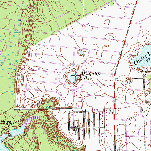 Topographic Map of Alligator Lake, FL