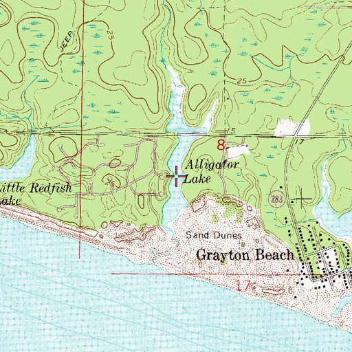 Topographic Map of Alligator Lake, FL