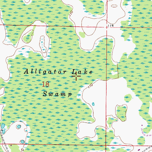 Topographic Map of Alligator Lake Swamp, FL