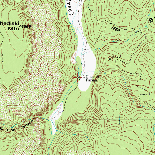 Topographic Map of Chediski Farms, AZ