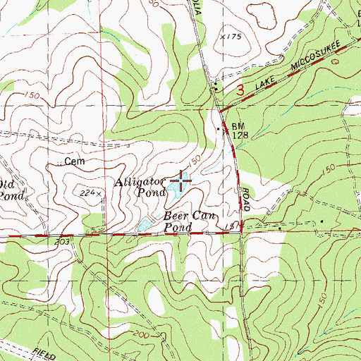 Topographic Map of Alligator Pond, FL