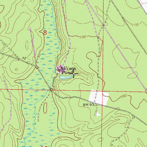 Topographic Map of Allison Pond, FL