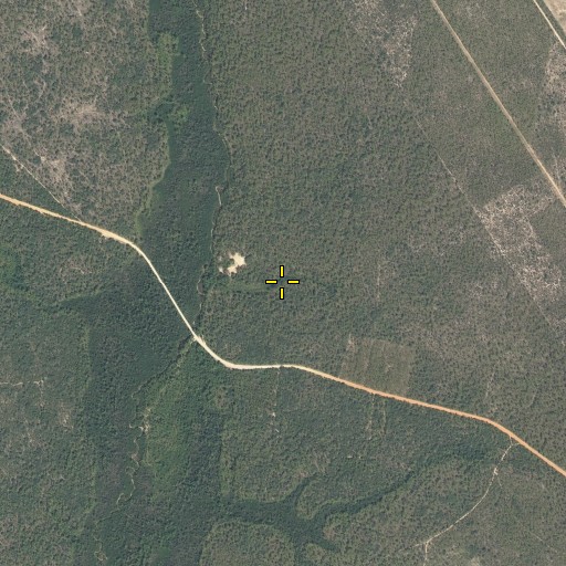 Aerial/Satellite Image of Allison Pond, FL