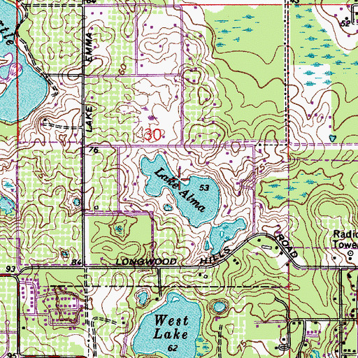 Topographic Map of Lake Alma, FL