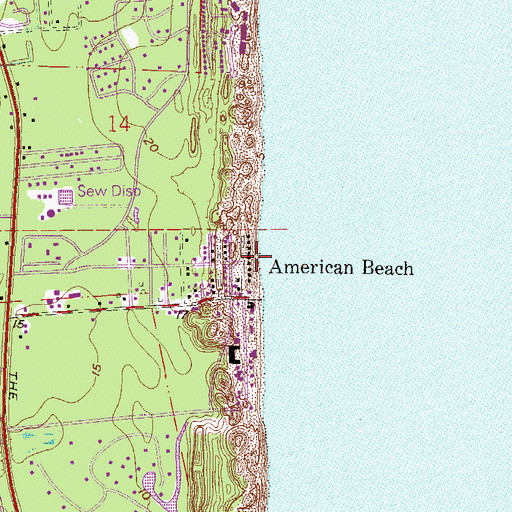 Topographic Map of American Beach, FL
