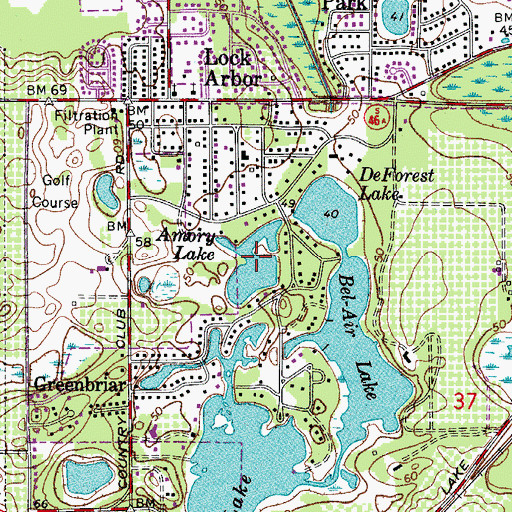 Topographic Map of Amory Lake, FL