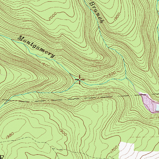 Topographic Map of Tar Run, PA