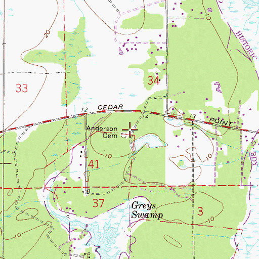 Topographic Map of Anderson Cemetery, FL