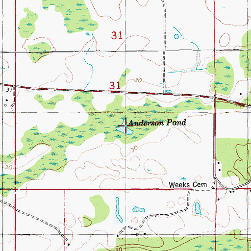 Topographic Map of Anderson Pond, FL