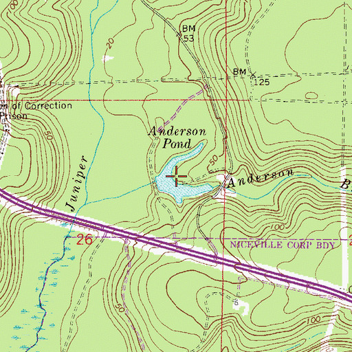 Topographic Map of Anderson Pond, FL