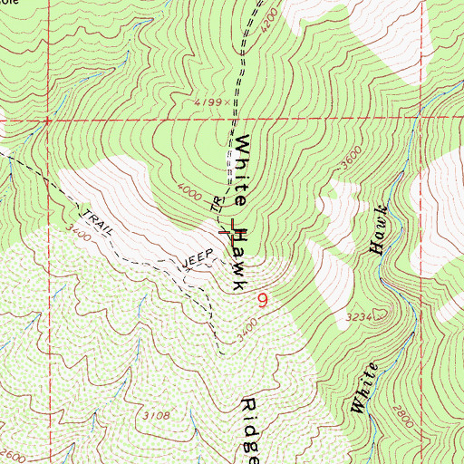 Topographic Map of White Hawk Ridge, CA