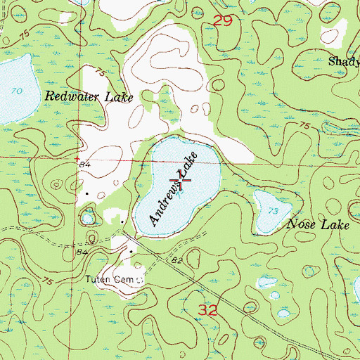 Topographic Map of Andrews Lake, FL