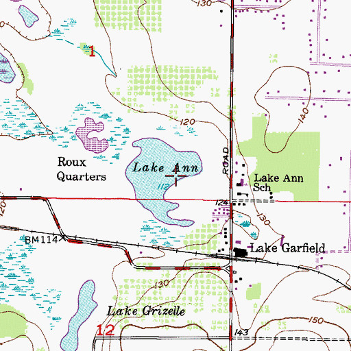 Topographic Map of Lake Ann, FL