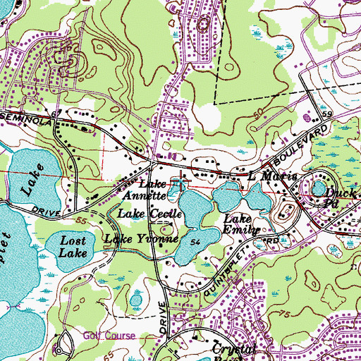 Topographic Map of Lake Annette, FL