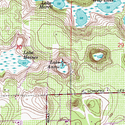 Topographic Map of Lake Annie, FL