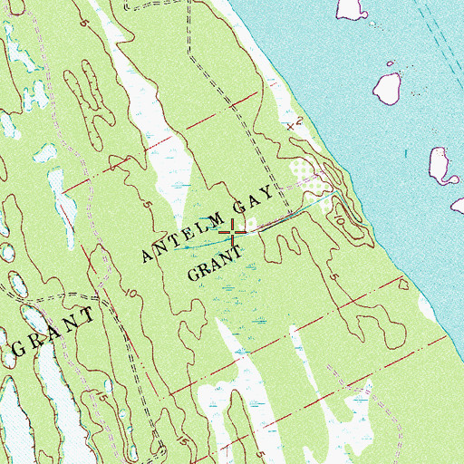 Topographic Map of Antelm Gay Grant, FL