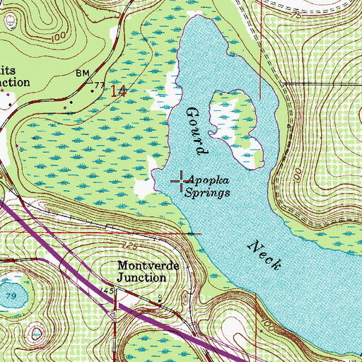 Topographic Map of Apopka Springs, FL