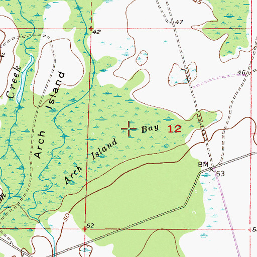 Topographic Map of Arch Island Bay, FL